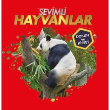 0-6 Yaş Yayınları Dokun ve Hisset - Hayvanlar