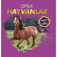 0-6 Yaş Yayınları Dokun ve Hisset - Hayvanlar