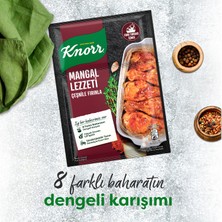 Knorr Fırında Tavuk Çeşnisi Mangal Lezzeti 29 gr X3