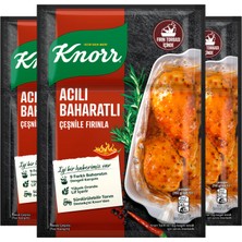 Knorr Çeşni Acılı Baharatlı Çeşnile Fırınla 31 Gx3