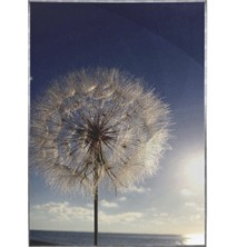 SHOP365 Karahindiba Yaz Güneşi ve Sahil Manzarası Poster P-004612