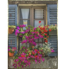 SHOP365 Panjurlu Camda Çiçekler Manzara Dekoratif Poster P-000182