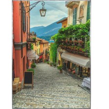 SHOP365 Turistik Arnavut Kaldırımlı Sokak Manzara Poster P-000014