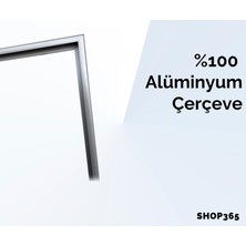 SHOP365 Gözlüklü Kadın Çağdaş Canlı Renkler Illüstrasyon Poster P-000203