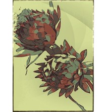 SHOP365 Çiçek Yeşil Renkler Illüstrasyon Poster P-000211