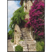 SHOP365 Fransada Bir Sokakta Evin Duvarları ve Begonvil Manzara Poster P-000042