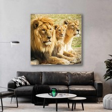SML Tablo Ormanlar Kralı Aslan Ailesi Yavru Aslan Doğa Kanvas Tablo