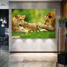 SML Tablo Doğada Aslan Ailesi Ormanlar Kralı ve Ailesi Kanvas Tablo