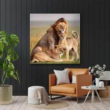 SML Tablo Aslan Ailesi Ormanlar Kralı Yavru Aslan Hayvan Kanvas Tablo