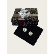 Boutique Venüs Taşlı Gümüş Küpe - Gümüş Renk - Tek Ebat