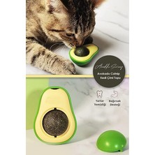 Hay-Hall01 Avokado Catnip Avokado Kedi Çimi Topu Avokado Kedi Nanesi Oyuncağı Arkası Yapışkanlı Catnip 3'lü