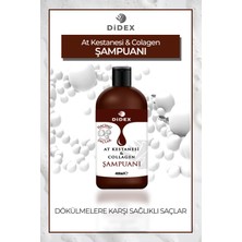 Didex Şampuan (At kestanesi ve ) 400 ML