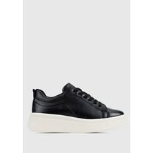 ProvoQ Siyah Kadın Sneaker