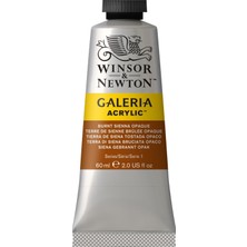 Winsor & Newton Galeria Akrilik Boya 60ML 077 Burnt Sienna Opaque