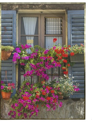 SHOP365 Panjurlu Camda Çiçekler Manzara Dekoratif Poster P-000182