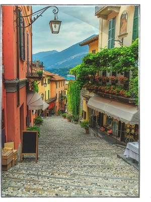 SHOP365 Turistik Arnavut Kaldırımlı Sokak Manzara Poster P-000014