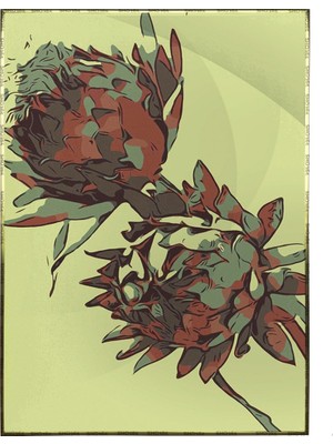 SHOP365 Çiçek Yeşil Renkler Illüstrasyon Poster P-000211