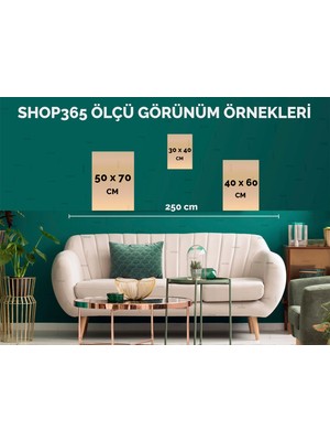 SHOP365 Şekiller Karışık Renkler Modern Poster P-001022