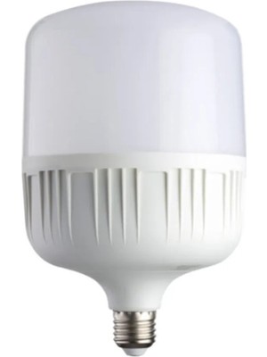 Quality Address 30W Torch Led Ampul