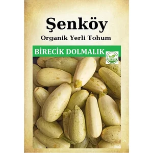 Yerli Birecik Dolmalık Kabak Tohumu Doğal Ata Tohum Pakette 10 gr 70 Tohum + Sebze Tohumu