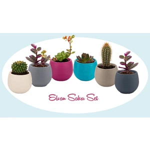 Serinova- Elvan 6 Adet Mini Kaktüs-Sukulent Saksı Seti - Elvan Saksı No: 1 Drenajlı 0,13 Lt ( ES01 )