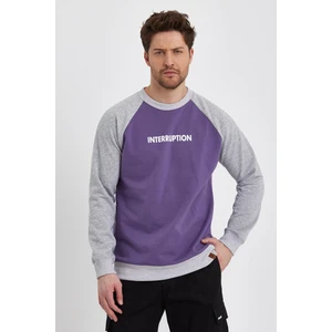 Alexander Gardi Regular Fit Sweatshirt (E23-73103)