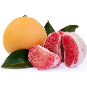 Fidan Paketim Şadok Ağaç Kavunu Citrus Maxima Pomelo 3 Yaş Aşılı Tüplü
