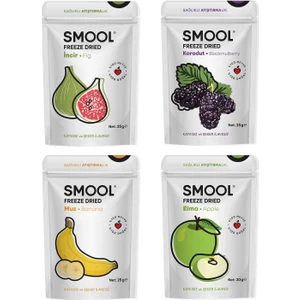 Freeze Dried Yeşil Incir - Karadut - Muz - Elma 4'lü Set (Dondurularak Kurutulmuş)
