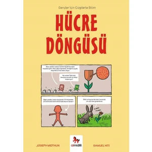 Hücre Döngüsü - Gençler Için Çizgilerle Bilim