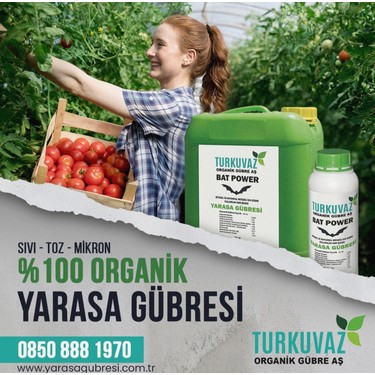 Turkuvaz Organik Bat Power Mikron Toz Yarasa Gübresi 2,5 Kg. Fiyatı