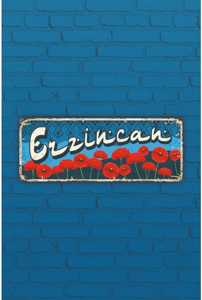 3S Promo Erzincan Şehir Tablosu