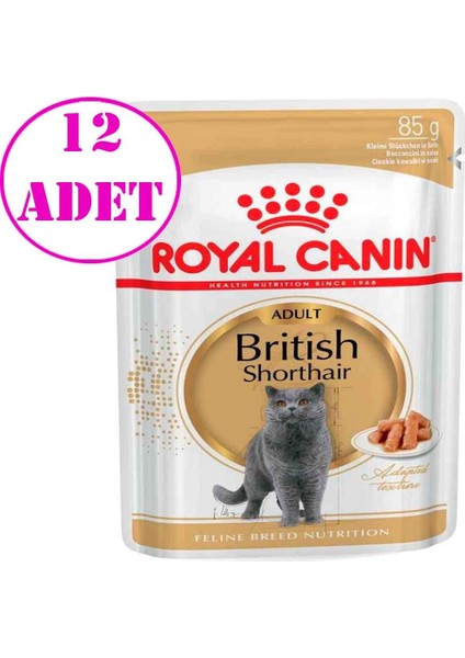 British Shorthair Yetişkin Kedi Konservesi 85 Gr 12 Ad