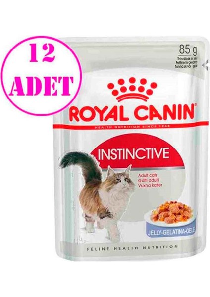 İnstinctive Jelly Kedi Konservesi 85 Gr 12 Adet