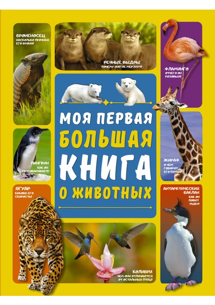 Моя Первая Большая Книга О Животных / Moja Pervaja Bolʹshaja Kniga O Zhivotnyh