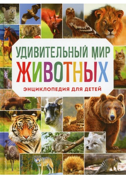 Удивительный Мир Животных. Энциклопедия Для Детей / Udivitel'nyy Mir Zhivotnykh. Entsiklopediya Dlya Detey