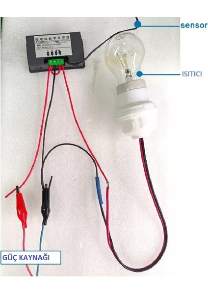 W3230 12V Dijital Termostat Kuluçka Makinalarına Uygun Hassas