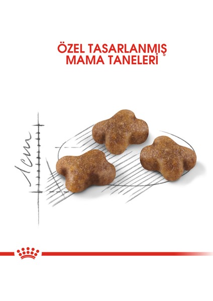 2 kg Vakumlu Kitten Yavru Kedi Maması Yüksek Proteinli