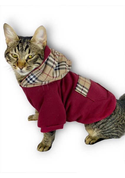 Bb Limited Bordo Duo Kapşonlu Kedi Sweatshirt fiyatları