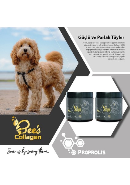 Collagen Köpek Vitamini 2li Set