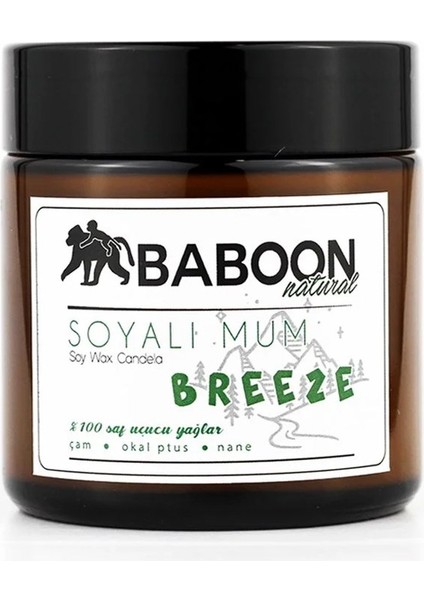 Baboon Natural Çam & Okaliptus & Nane - Soyalı Mum - Breeze 100 ml