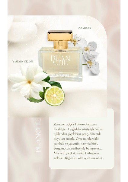 Blanche Kadın Parfüm 50Ml Edp