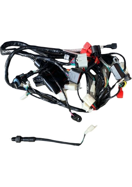 SFC100 Automatik-19 Elektriktesisatı Mondial