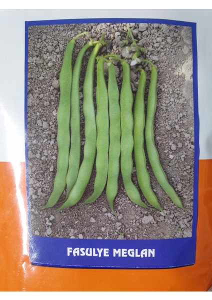 Meglan Oturak Taze Fasulye Tohumu 2 Kg ( Magnum Tipi )