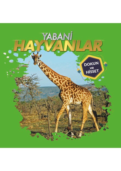 Dokun ve Hisset - Hayvanlar