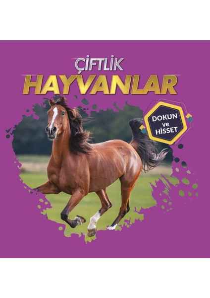 Dokun ve Hisset - Hayvanlar