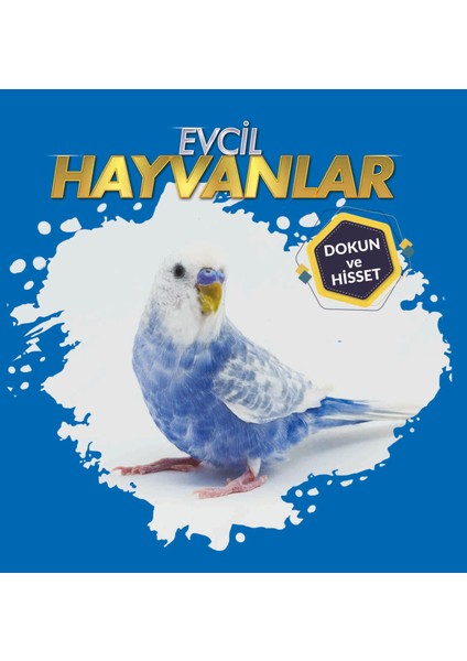 Dokun ve Hisset - Hayvanlar