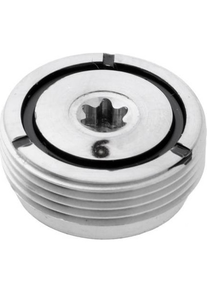 2xtınılle Çelik Golf Kulübü Kafa Ağırlık Vida Golf Sürücü Vidaları 6g 2 Adet (Yurt Dışından)