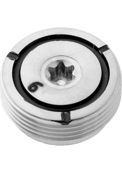 2xtınılle Çelik Golf Kulübü Kafa Ağırlık Vida Golf Sürücü Vidaları 6g 2 Adet (Yurt Dışından) indirimleri