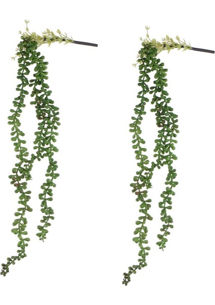 2x Yapay Çiçek Ipi Inciler Duvar Asılı Sulu Meyveler Bitkiler Yeşil (Yurt Dışından)