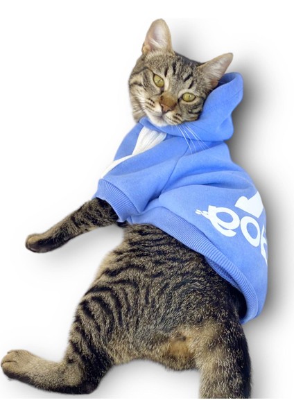 Bebek Mavisi Adidog Kapşonlu Kedi Sweatshirt Kedi Kazağı modelleri